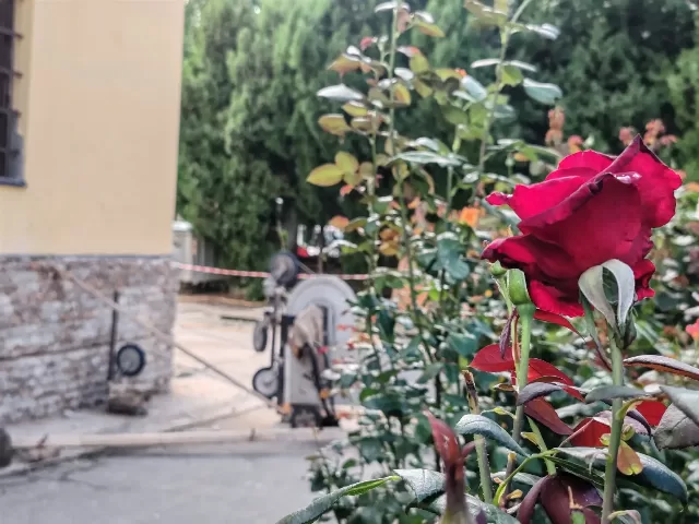 Obnova župne crkve Uzvišenja svetog Križa u Rumi - fotografija 13